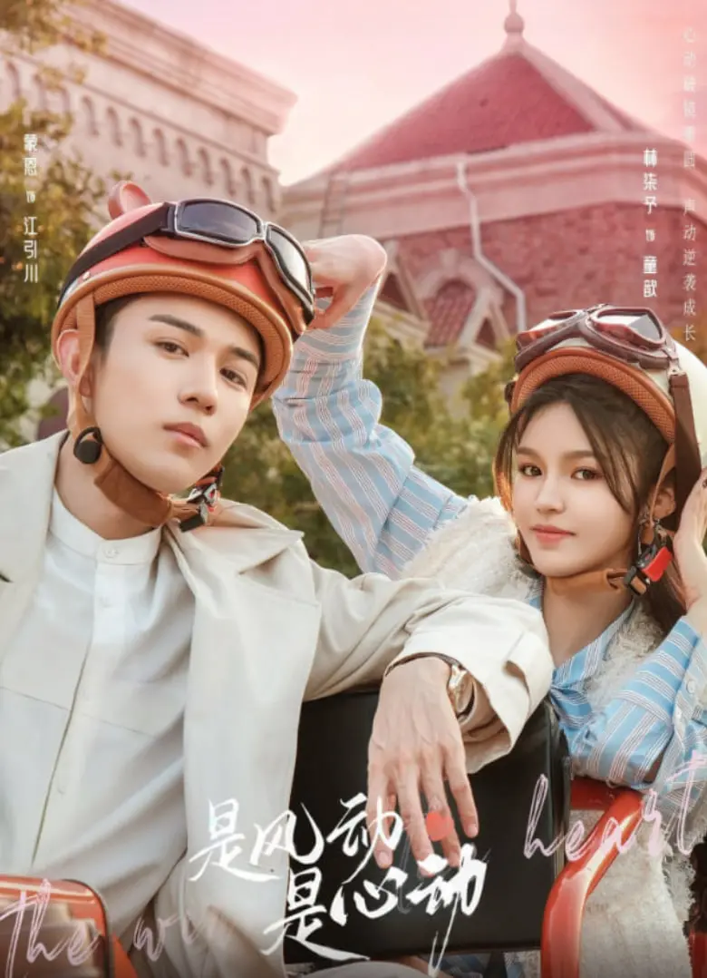 《是风动、是心动》：双向奔赴的青春悸动，甜到齁的校园爱情故事